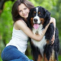 Dog Toys For Lovable Pet Canines